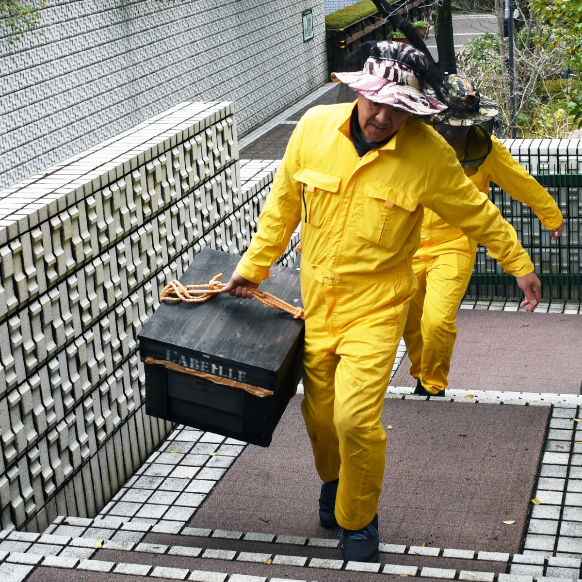 urban-beekeeping_g1_1_2