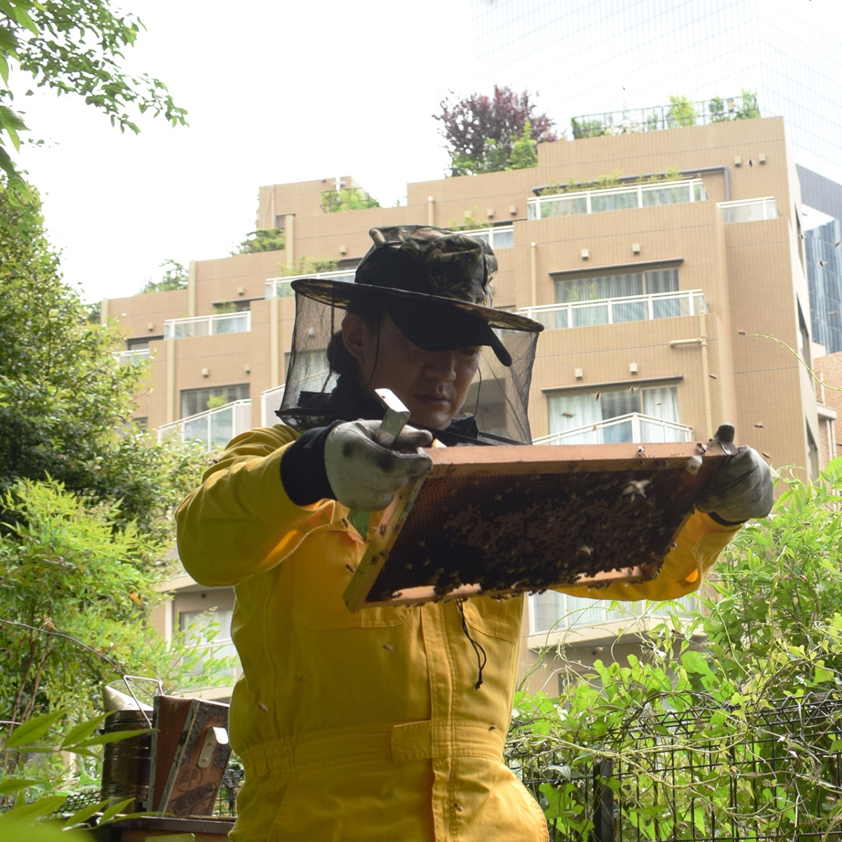 urban-beekeeping_g2_1_2