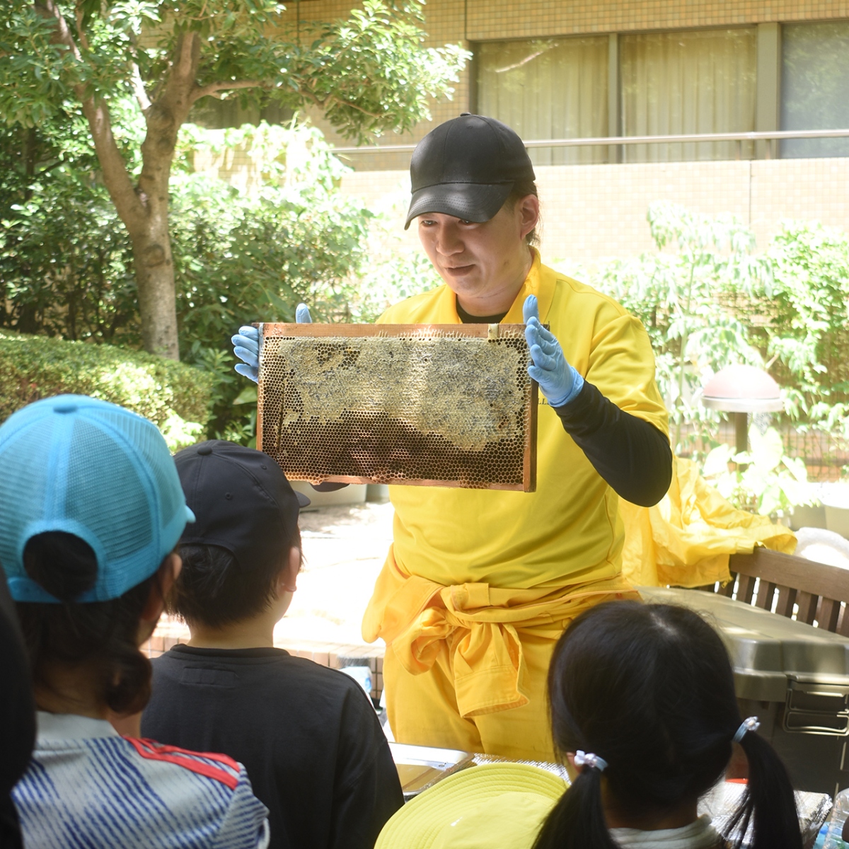 1_urban-beekeeping_g3_1_2
