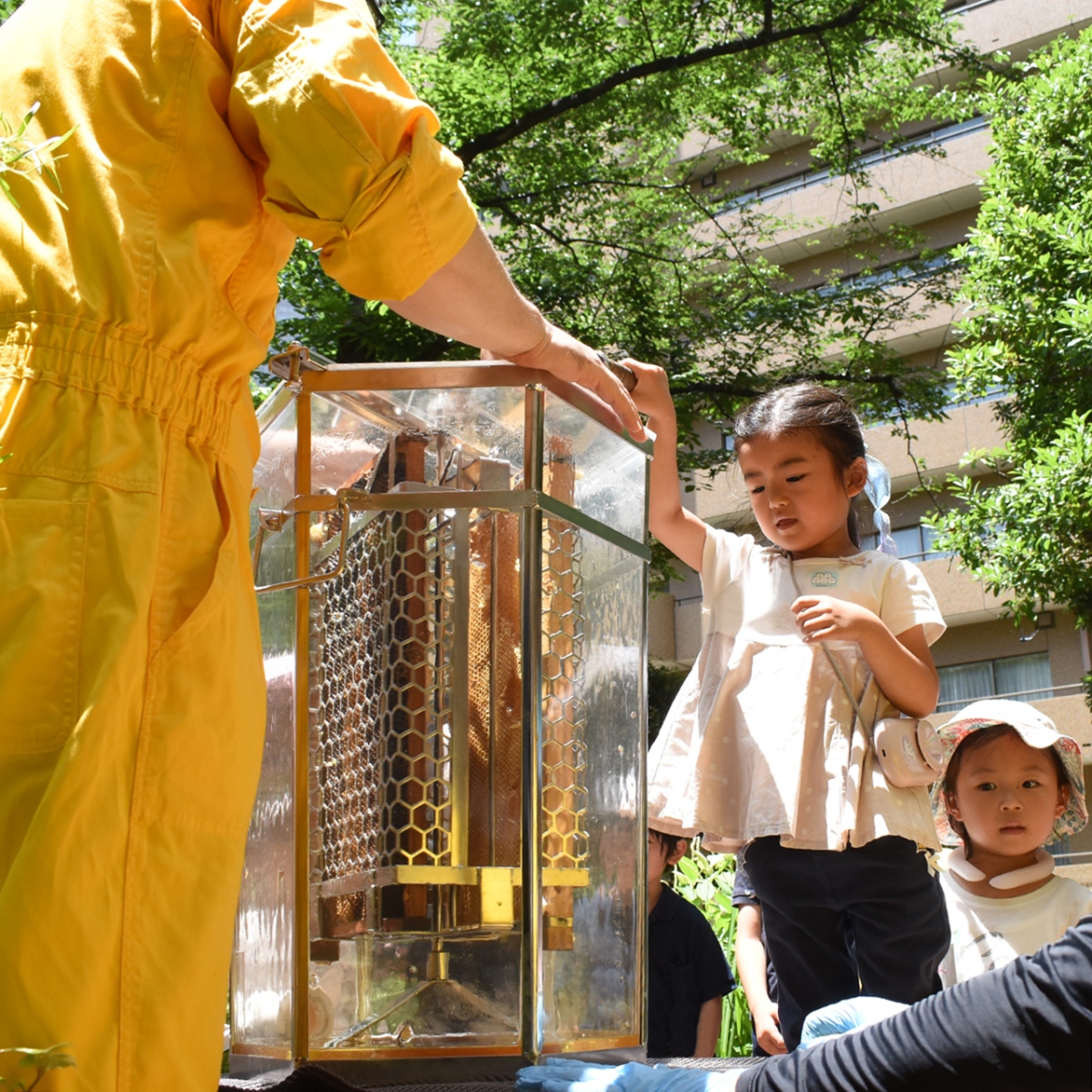 urban-beekeeping_g3_2_2