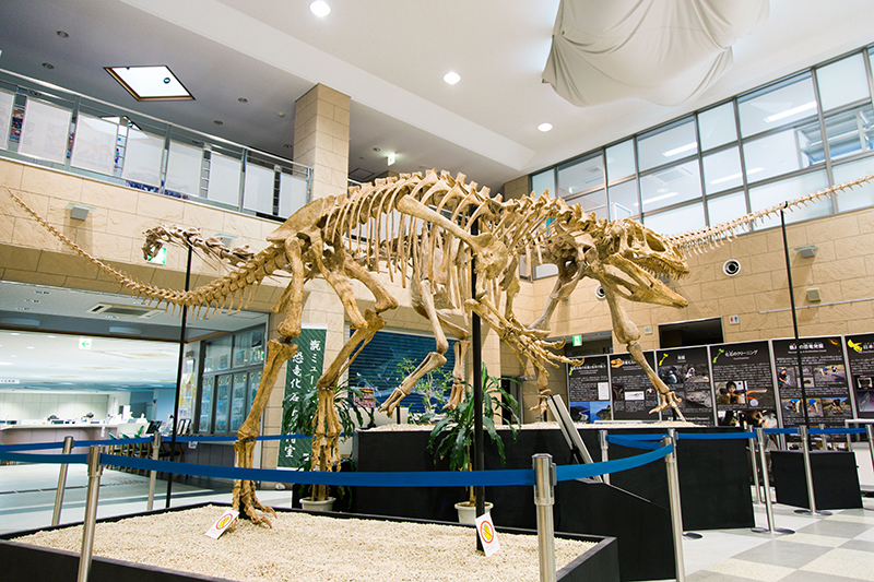 鹿島支所の恐竜化石等準備室