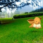 ポケモンが六本木ヒルズの毛利庭園に出現！最新AR技術を「INNOVATION TOKYO」で体験しよう